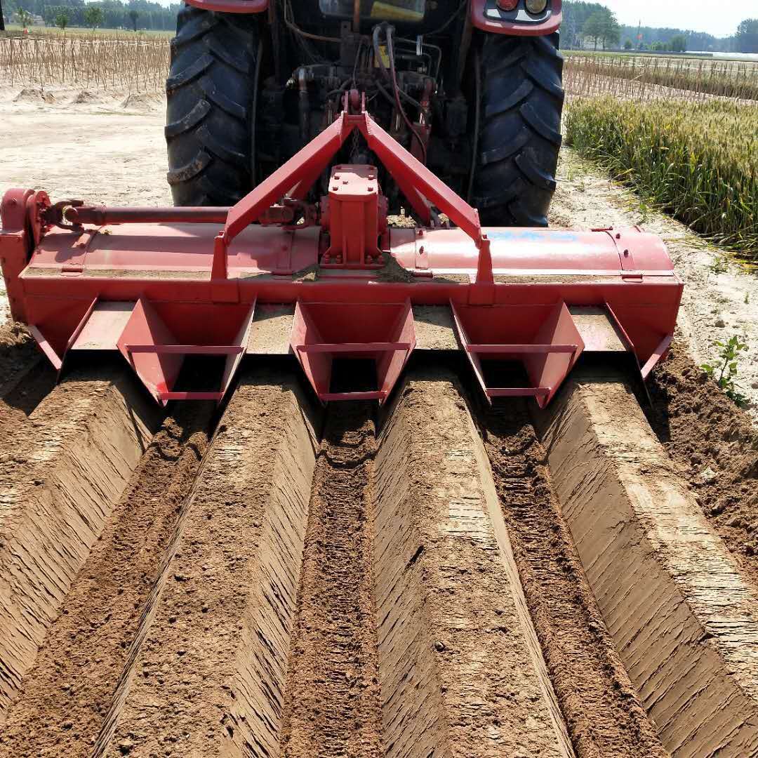 <a href=http://m.lrgtech.com/ target='_blank'>開溝機(jī)</a>